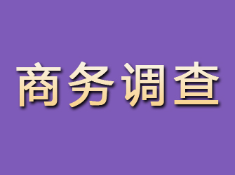 锡山商务调查